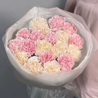 Мікс гвоздик