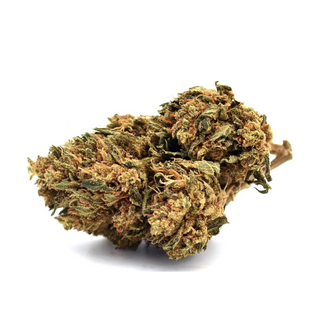 Pineapple - Greenhouse 05G