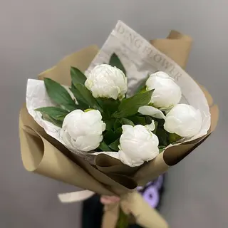 5 bujori albi