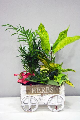 Carrito Con Plantas
