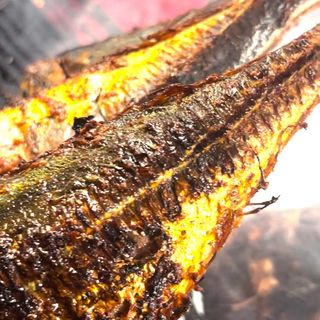 Fish Tail (Grilled)