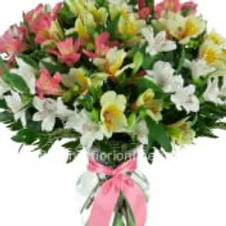 mazzo di alstromeria