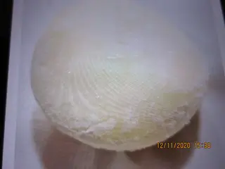 MOCHI PINA Y COCO 1PI