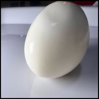 Boiled Egg