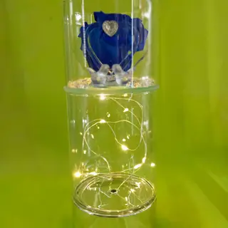 Love in Blue