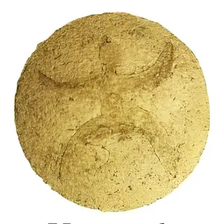 დოლიძე ცოლიკაური