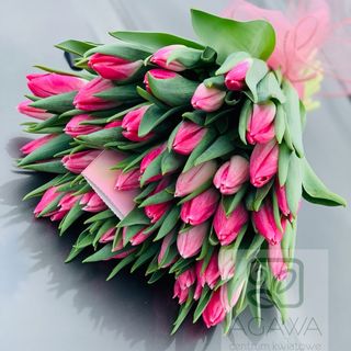 Bukiet Tulipanów 25 szt 