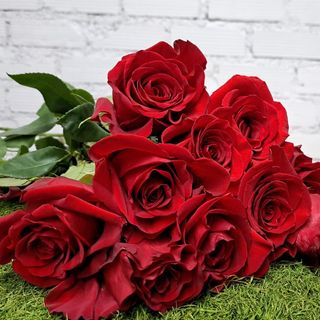 Rosas rojas