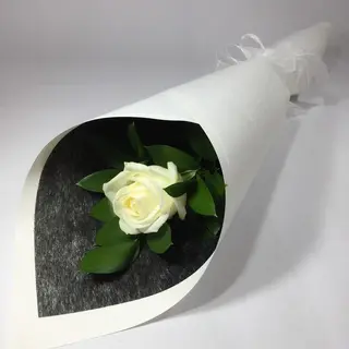 Rosa Blanca Unidad