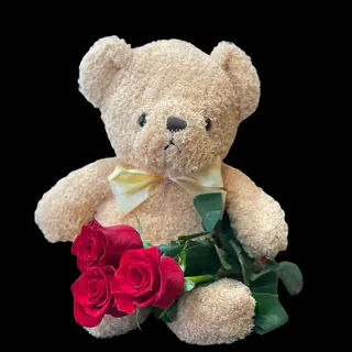 Teddy Love 2