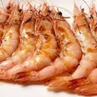 Gamba fresca a la planxa (raccio)