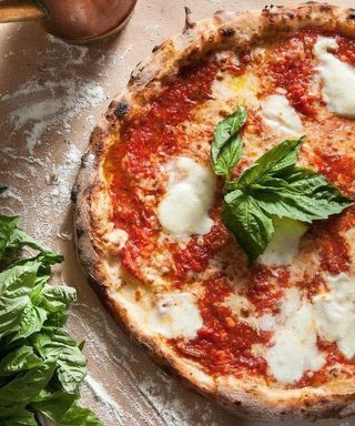 მარგარიტა 