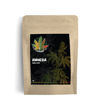 Small Buds Amnesia 15g