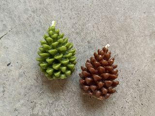 Свічка Шишка Соснова