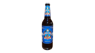 Pivo Pale Ale 2l