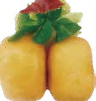 73. Pan Chino (2 Uds.)