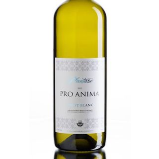 Pro Anima Pinot blanc Plantaže 0.75 l