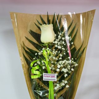 Rosa Blanca Regalo