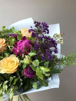 ვარდი პიონი