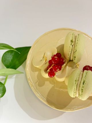 Vainilla Y Pistachio 4-5 Personas - 600 Gr