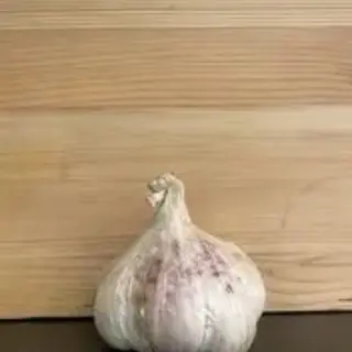 Aglio rosa al pz