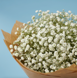 თეთრი გიფსოფილა (5ტოტი)