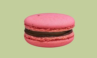 Macaron Foresta Nera
