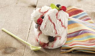 "I CREMOSI" YOGURT FRUTTI DI BOSCO (5015)