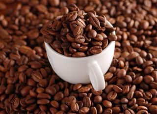 Café Expresso En Grain 1kg