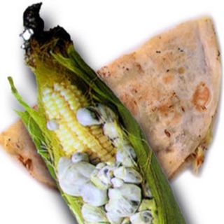 Orden De 2 Quesadillas Huitlacoche