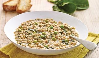 LA FARROTTA 4 porz. = 1000g (15186)