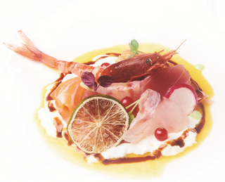 101 Sashimi burrata - 7 pezzi