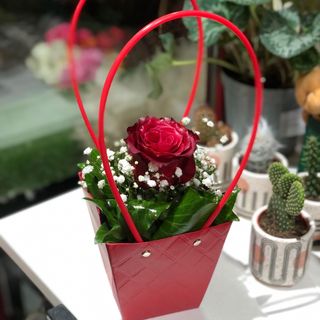 Korpica mix boje, 1 ruža