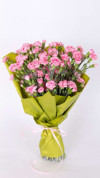 Goździk różowy (15szt)