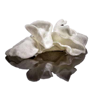 14.Nuvole di gamberi