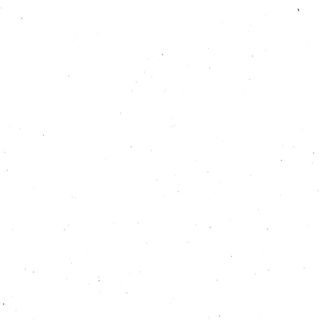 肉夹馍 Pan bao de codillo