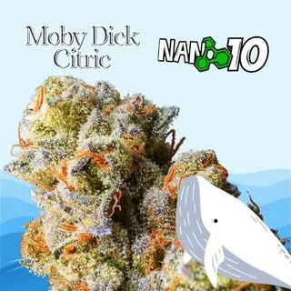 MobyDick Citric x Nano 10 CBD al 61% 2G