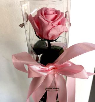 Rosa Preservada Cor-de-Rosa- caule longo