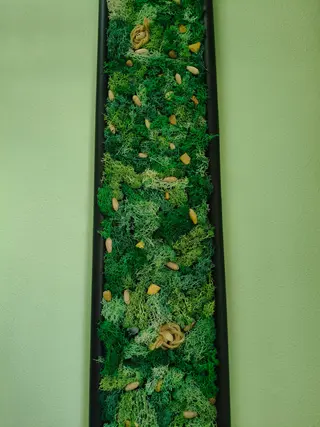 Quadro muschio stabilizzato 90x22