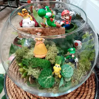 Pecera "Mario"