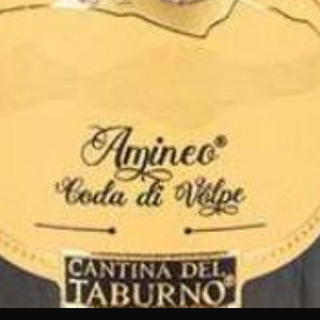 Amineo Coda di Volpe