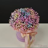 Cutie cu gypsophila colorată