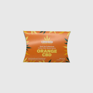 Cbweed Semilla Autofloreciente Cbd Naranja N.1