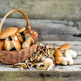 Манатарки (50г)