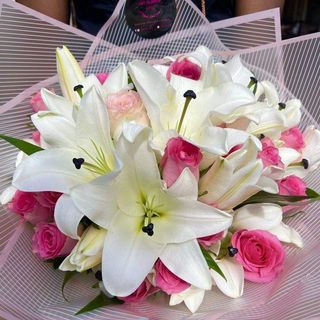 Lilly Blooms