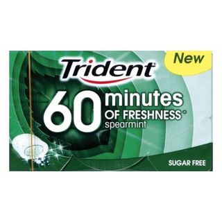 Trident 60 Minutos Spearmint 20 gr