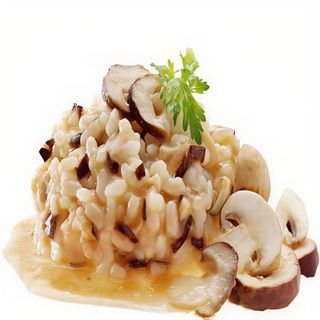 Risotto Funghi Porcini