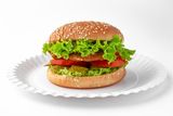 Mr.Snitel Burger