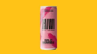 Kombucha Wildberries