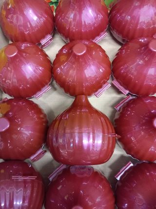 Contenitore per cipolla 